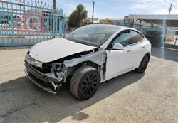 تسلا موديل Y